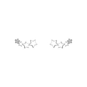 High-grade Light Luxury Design Sense Frosty Style Stud Earrings (Option: Silver)