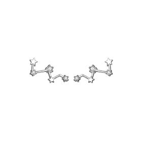 High-grade Light Luxury Design Sense Frosty Style Stud Earrings (Option: Silver Pairs)