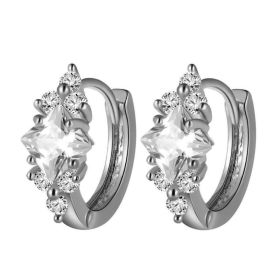 European And American Personalized Square Zircon Earrings (Option: Silver)