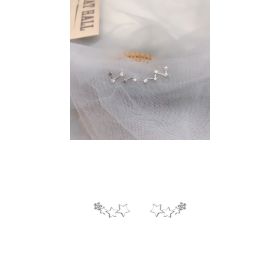 High-grade Light Luxury Design Sense Frosty Style Stud Earrings (Option: 2pair)